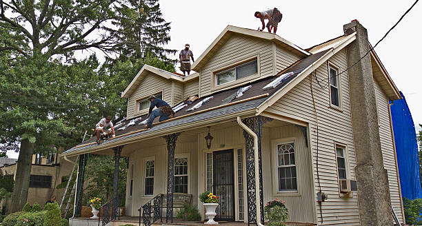 Best Local Roofing Companies  in Dunbar, WV