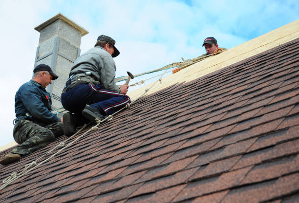 Best Roof Maintenance Services  in Dunbar, WV